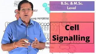 Cell Signaling || B.Sc. & M.Sc. Level