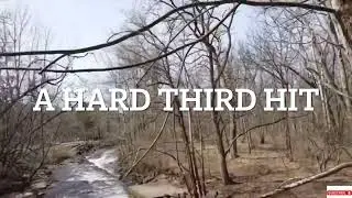 DJI MAVIC MINI Epic Drone Crashes Hit a tree 5 Times Too Many Almost Made it Back Big Mistake