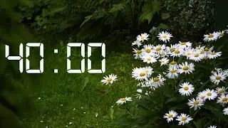 40 Minute Timer | Relaxing Rain Sounds
