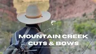 Mountain Creek | Such a BEAUTIFUL Creek to Fish - Cutthroats and Rainbows!