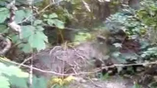Idiot crash on bike!!!