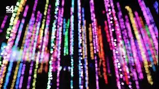 Interactive RGB Vines