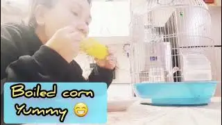 Yummy sweet corn 🌽 