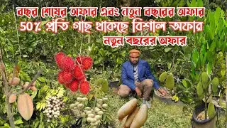 নতুন বছরের বিশাল অফার গাছ প্রতি ৫০% ডিসকাউন্ট চলছে মোল্লা নার্সারিতে  পানির দামে চারা কিনুন 