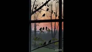 Peaceful Morning Birds 🌅 5 minutes of Calm Nature Sounds for Sleep Study & Relaxation Listen In loop