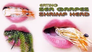 ASMR Eating lips focus | Shrimp head and sea grapes crunchy eating sounds +食べる,咀嚼音,먹방 이팅 | LINH-ASMR