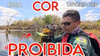 💪 A Cor Proibid@ da Isca DESTROYER Que Eu N&Atilde;O Deveria te Mostrar&hellip;&rdquo; Pegou TUDO🎣 
