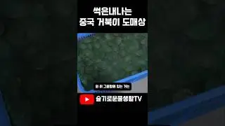 Chinese turtle wholesale environmentㅜㅜ