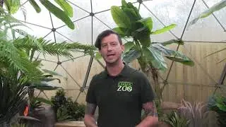 Telford 50 Legacy - Exotic Zoo