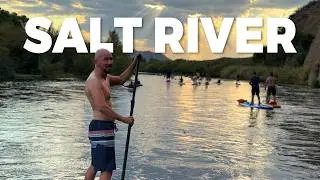 Paddleboarding on the AMAZING Salt River in Arizona