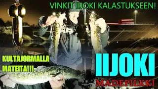 IIJOKI MADEPILKKI - Kalavinkit Hautuumaan Apajalle ja KultaJormalla Mateita ( Ice Fishing Finland )