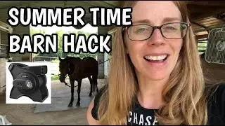 NUMBER ONE SUMMER TIME BARN HACK- HIGH VELOCITY FAN