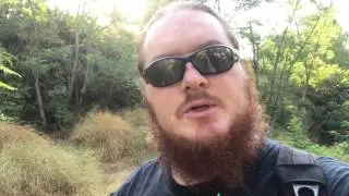 Quick cold steel Irish blackthorn staff review and trail in north Brea La Habra Heights area