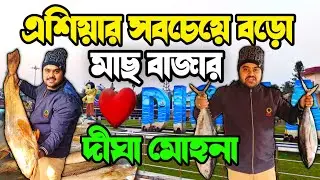 এশিয়ার সবচেয়ে বড়ো মাছ বাজার 😨 দীঘা মোহনা নতুন মাছ বাজার 😱 Digha Mohona Fish Market