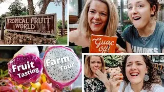 TROPICAL FRUIT WORLD VLOG! | Fruit Tasting, Farm Tour, Eating Bush Tucker | Gold Coast Australia