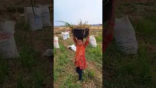 गर्मियों में खेती - बाड़ी