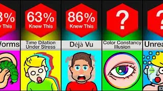 Comparison: Every Brain Glitch Explained