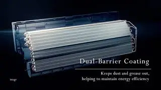 Dual Barrier Coating