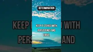 Determination #nature #calmingvisuals #relaxingmusic #tranquilmind #innercalm #visualrelaxation