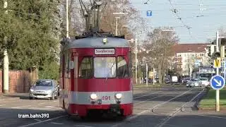 Adventsfahrten 2016 in Karlsruhe