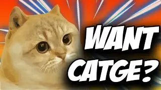 Catge Coin Token CATGE Crypto ✅ How to Buy Catge Coin Crypto CATGE Token on Pancakeswap