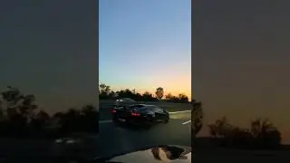 SUNSET CRUISE #shorts #lamborghini #bmw #ferrari