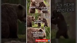 #юмор #прикол #смешновидео #смехпродлеваетжизнь