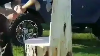 Звер(8)