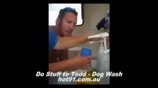 To Stuff to Todd - Dog Wash