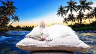 Midnight River Sleep: Cat Dozing Under Stars with Whispering Water Sounds