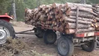 Massey Ferguson 255 T Tomruk Boşaltımı Akıl İşi Deyil