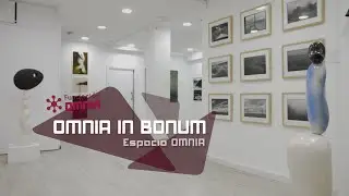 Espacio Omnia exposición OMNIA IN BONUM