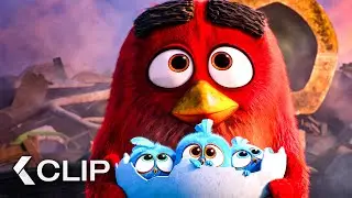 Cómo Red se convirtió en el Héroe del Día - ANGRY BIRDS: La película Clip (2016)