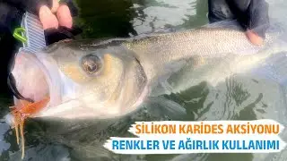 SİLİKON KARİDES DROP SHOT AKSİYONU, RENKLER VE AĞIRLIK KULLANIMI