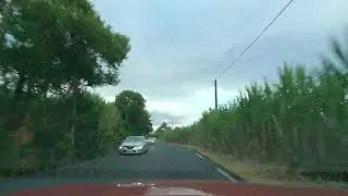 Ile de la Réunion, Bois Blanc - Piton Ste Rose