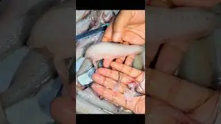 how to clean bombil fish | बोंबील मासे कसे स्वच्छ करावे 🐟| #shorts #short #viral #seafood