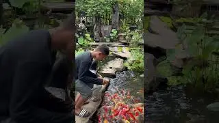 Hidden Gems Surabaya #hiddengems #secret #pondfishing #koi #healing #coffee