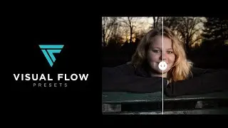 VISUAL FLOW LIGHTROOM PRESETS REVIEW