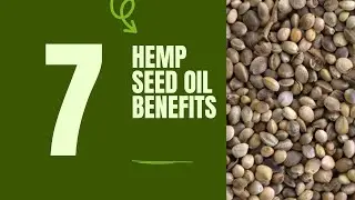 7 Incredible Hemp Seed Oil Benefit That You Didn't Know About