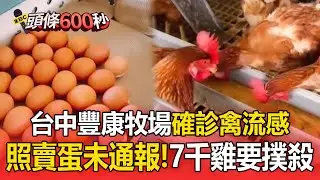 台中豐康牧場「確診禽流感」雞蛋照賣！「7千隻雞要撲殺」業者隱匿未通報最重罰百萬【頭條600秒】