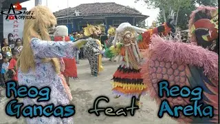 Reog Gancas feat Reog Areka || Live show Ulang Tahun Gancas || Cangkring - Lohbener