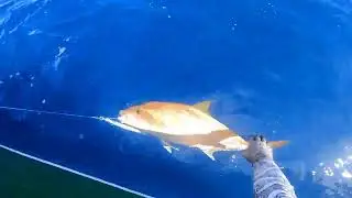 Deep sea jigging