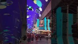 Freemont Experience Las Vegas #lasvegas #freemontstreet #nightlife