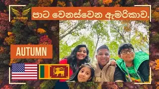 පාට වෙනස්වෙන ඇමරිකාව | Fall Foliage in New York 🍁🇺🇸🇱🇰 | HerShy Family සිංහල