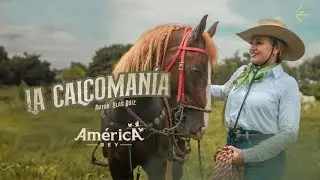 América Rey -  La Calcomanía (Vídeo Oficial)