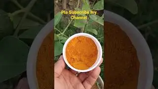 benefits of turmeric on plants