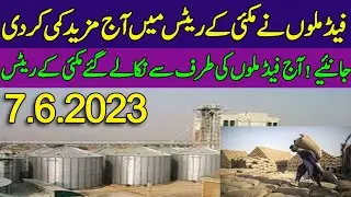 Maize Rates Today In Pakistan | Feed Mill Rates Today | Today Maize Rates In Feed Mill 07.6.2023