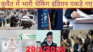 Kuwait illegal worker checking news, kuwait latest news, kuwait news today live in Hindi,kuwait news