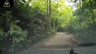 Video of driving to Tech Brigade along the access track.