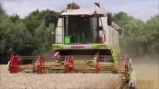 wheat harvesting claas lexion 530